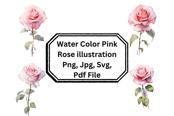 The Enduring Charm of Water Color Pink Rose Illustration